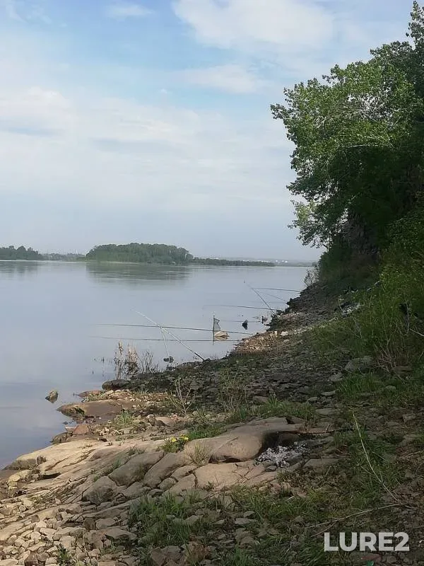 Язь, Окунь