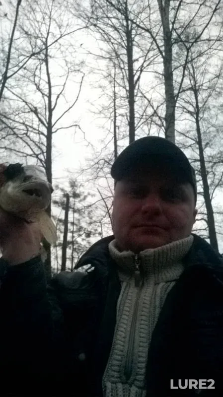 Лещ, Густера — Осиповичское, 22 нояб. 2019 г.