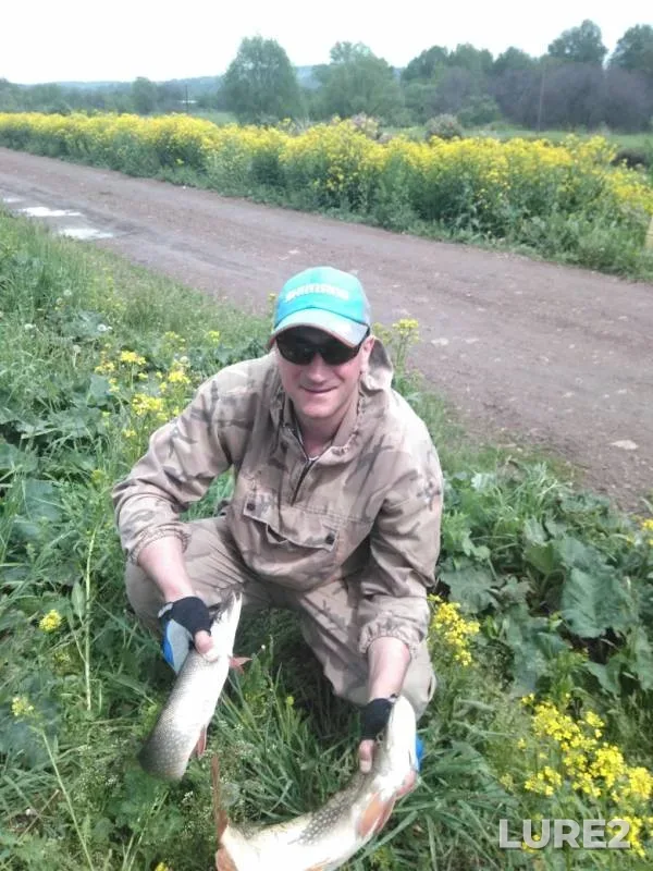 Щука