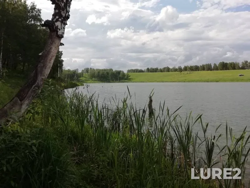 Окунь