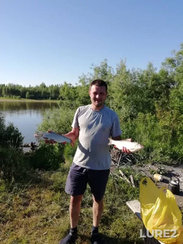 Лещ, Язь