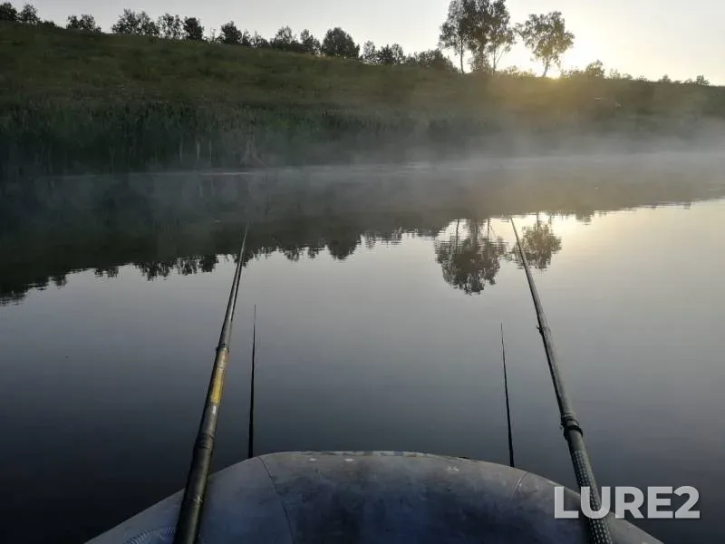 Карась