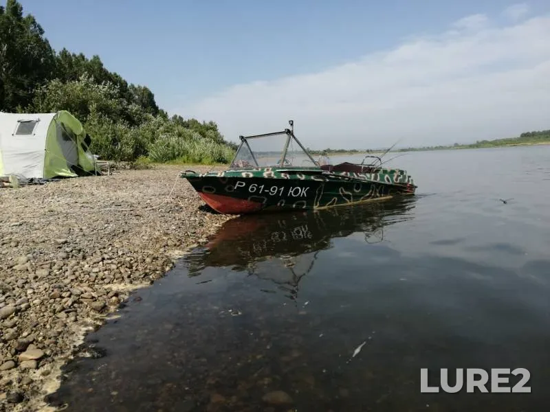Окунь, Щука
