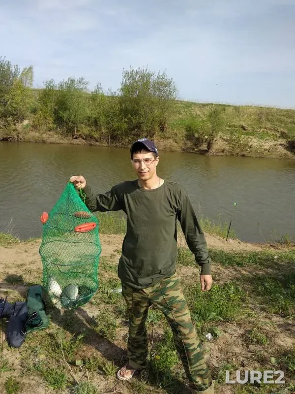 Карась