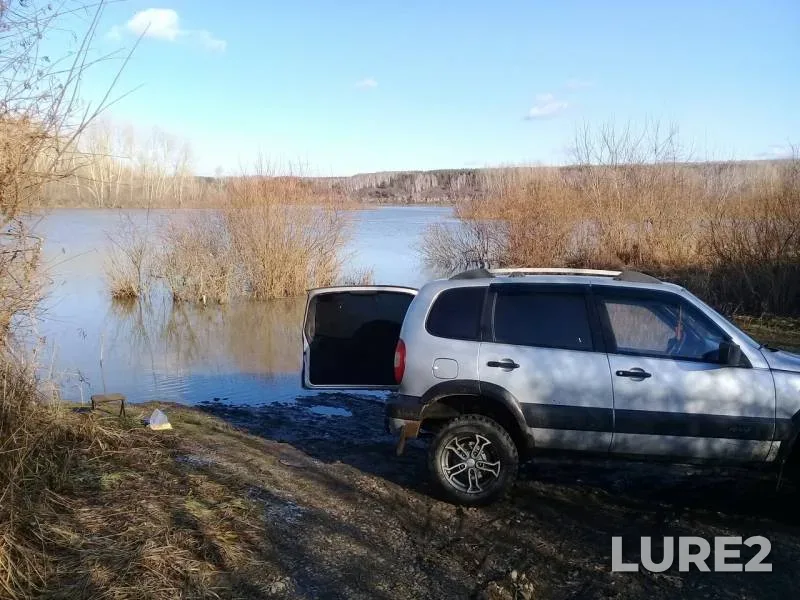 Уклейка