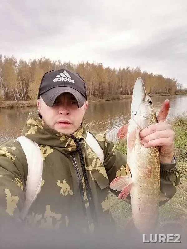 Щука