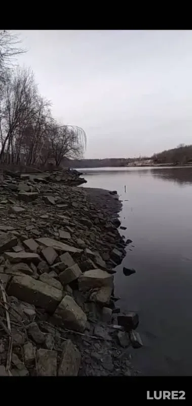 Окунь