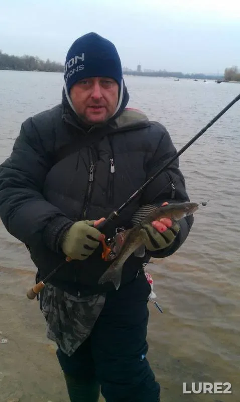 Окунь