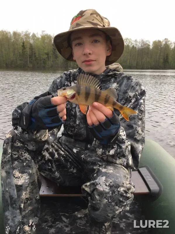 Окунь