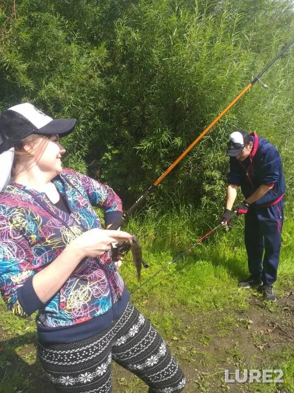 Окунь