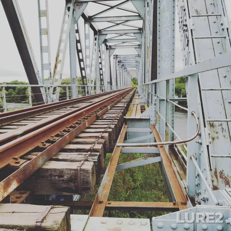 Лещ