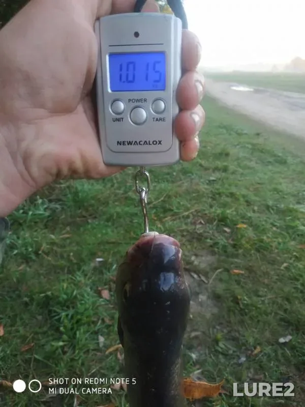 Лещ