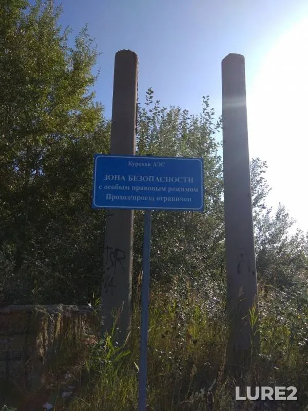 Лещ, Судак