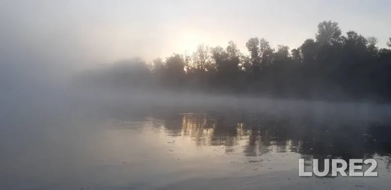 Окунь, Щука