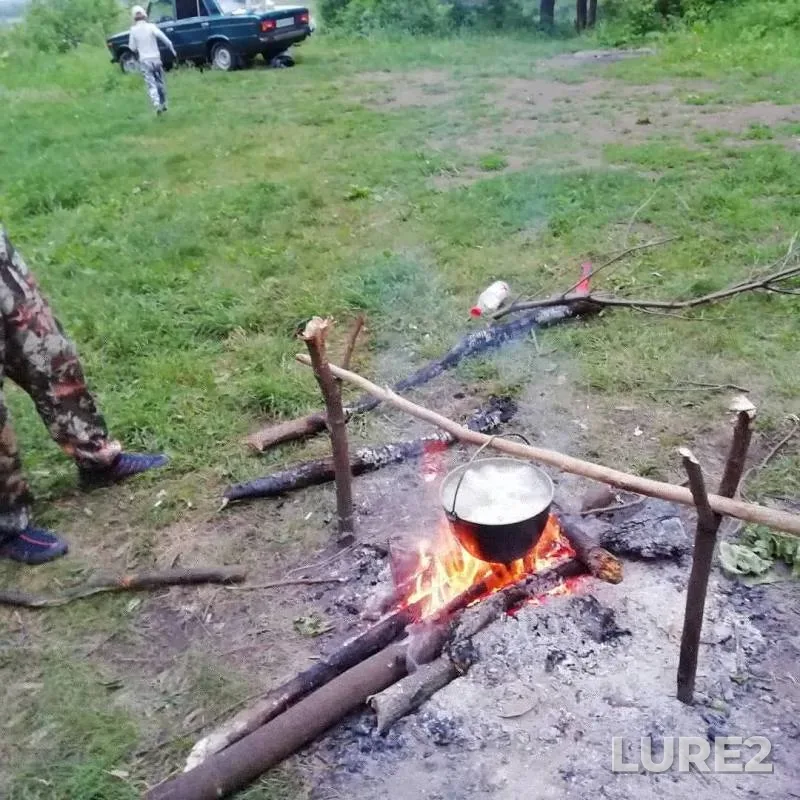 Щука