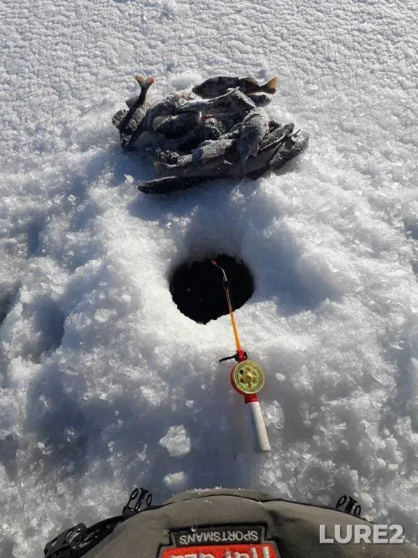 Окунь — Республика Карелия, Прионежский район, 21 февр. 2019 г.