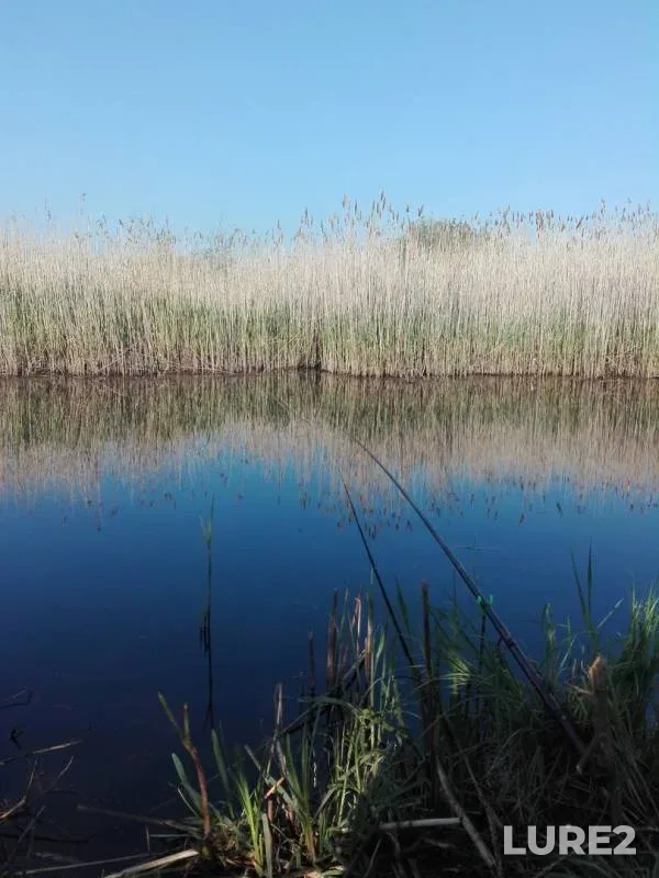Карась, Окунь — Дорогобуж, 12 мая 2019 г.