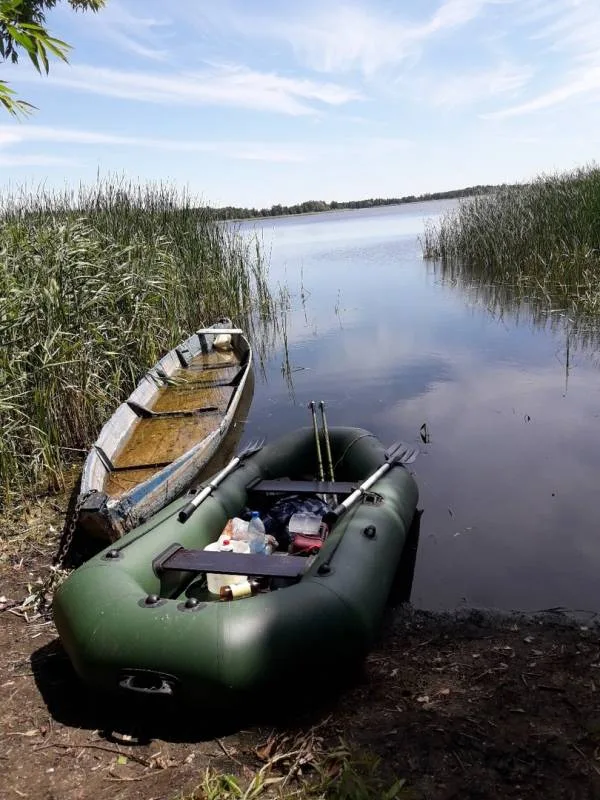 Лещ, Карась