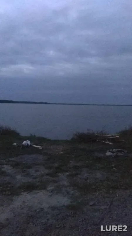 Окунь