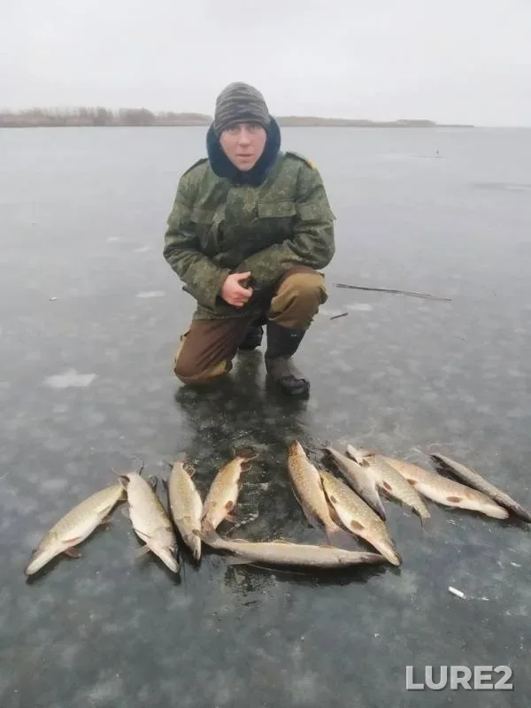 Щука — Споровское, 26 нояб. 2019 г.