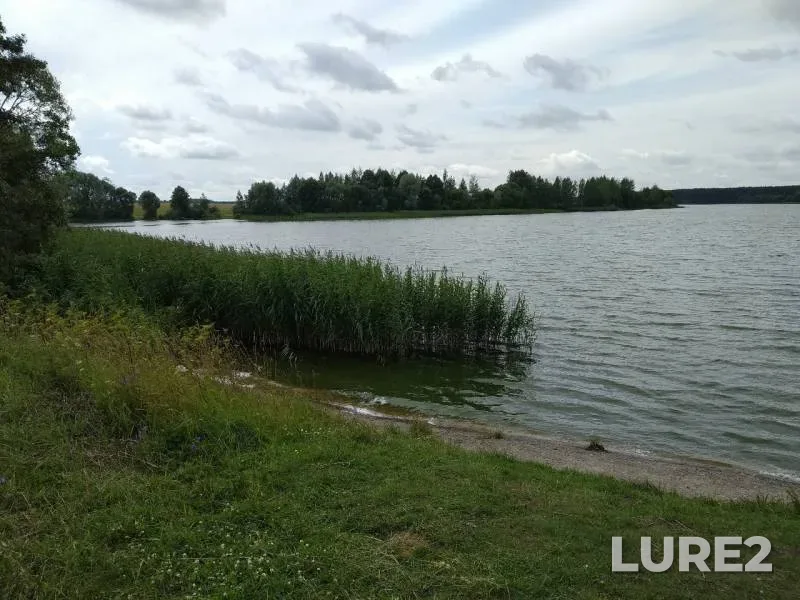 Лещ, Окунь — Рудея, 25 июл. 2019 г.
