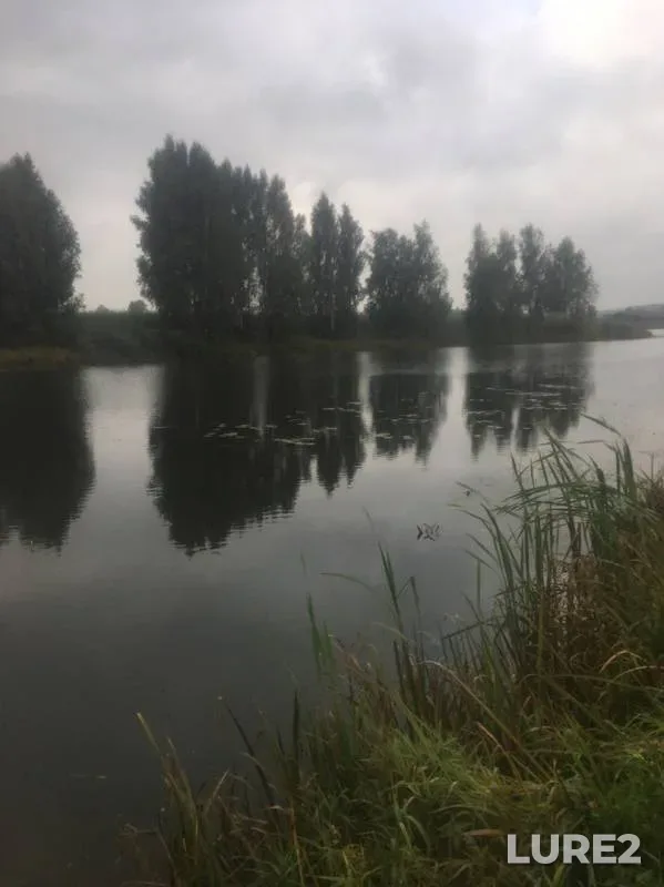 Карп, Карась — Артисловка, 31 авг. 2019 г.