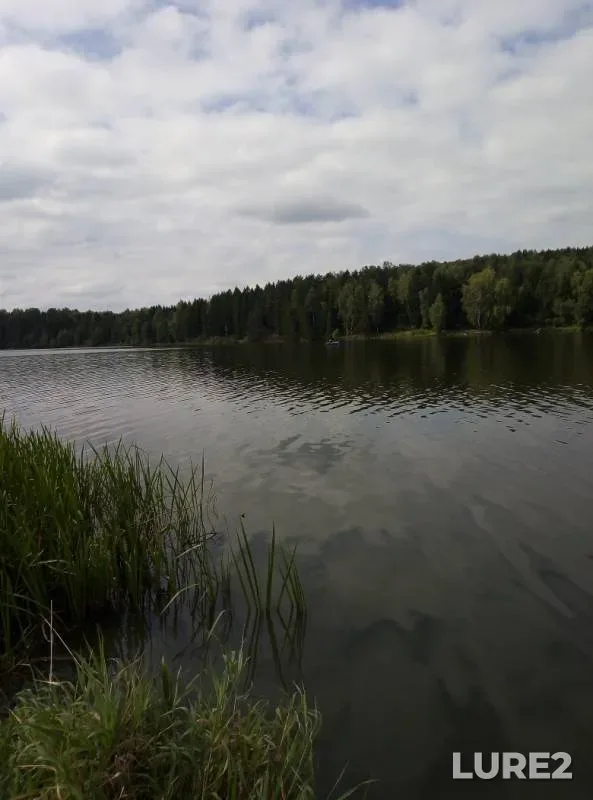 Плотва — Тетеринское, 01 сент. 2019 г.