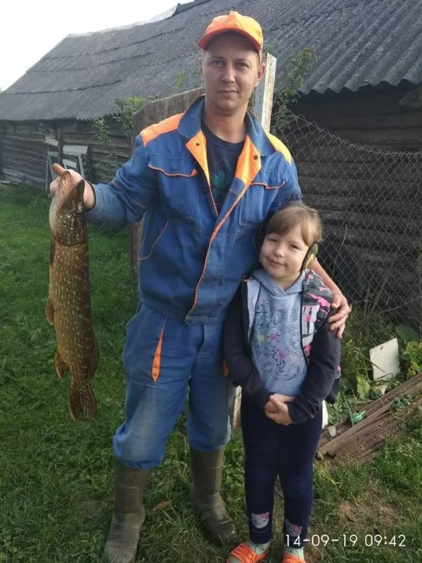 Щука