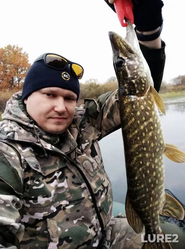 Окунь, Щука — Сож, 07 окт. 2019 г.