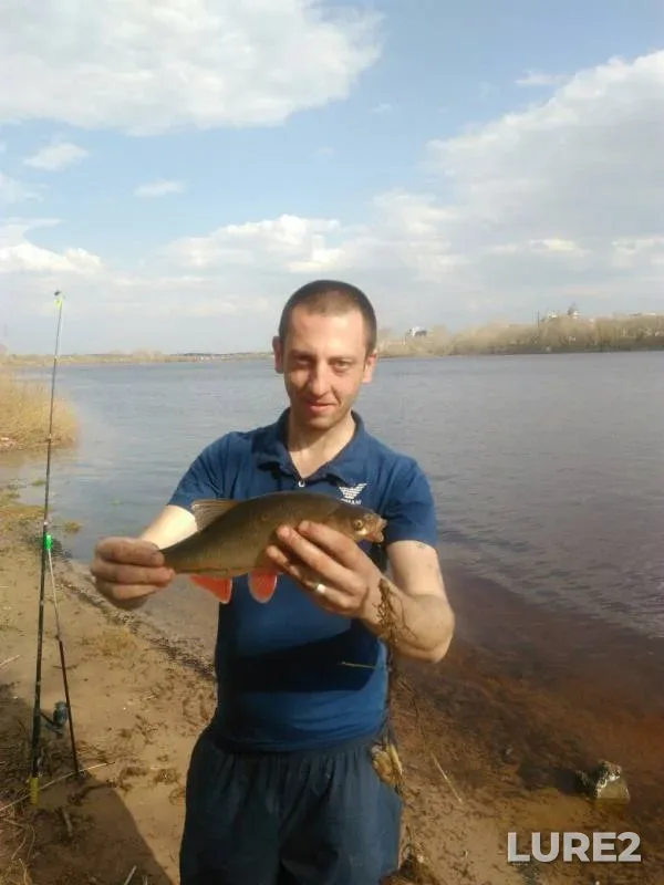 Лещ, Язь