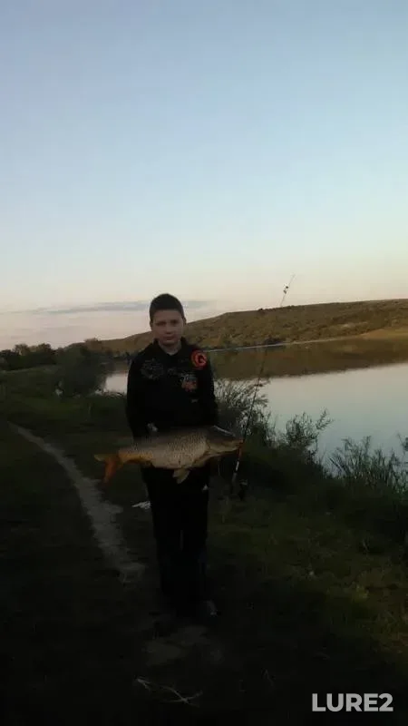 Карп