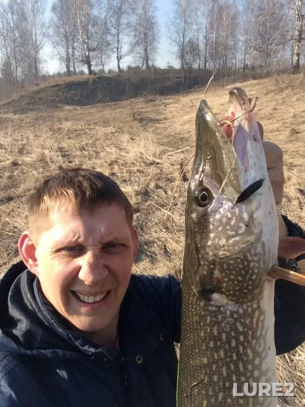 Щука