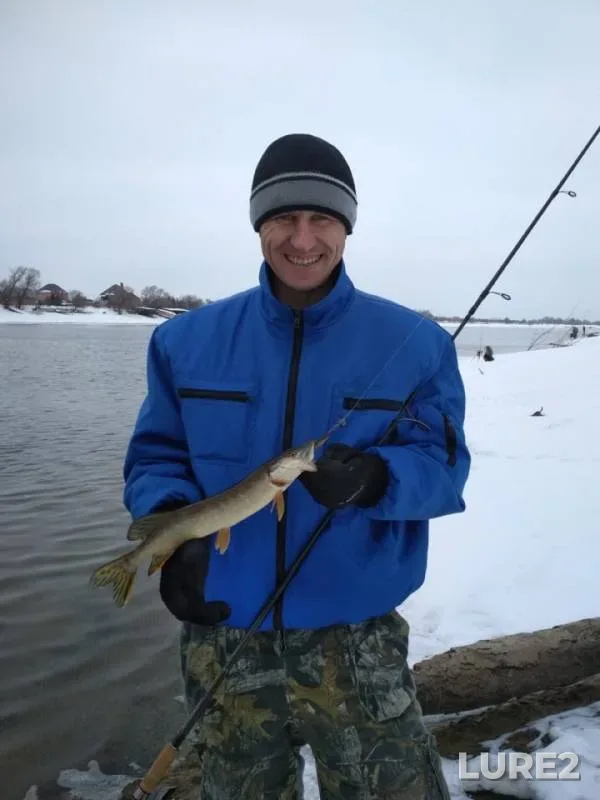 Окунь, Щука