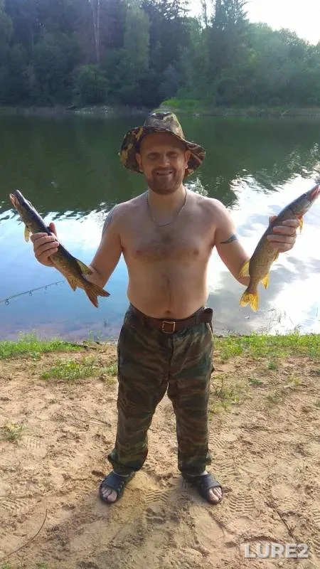 Щука
