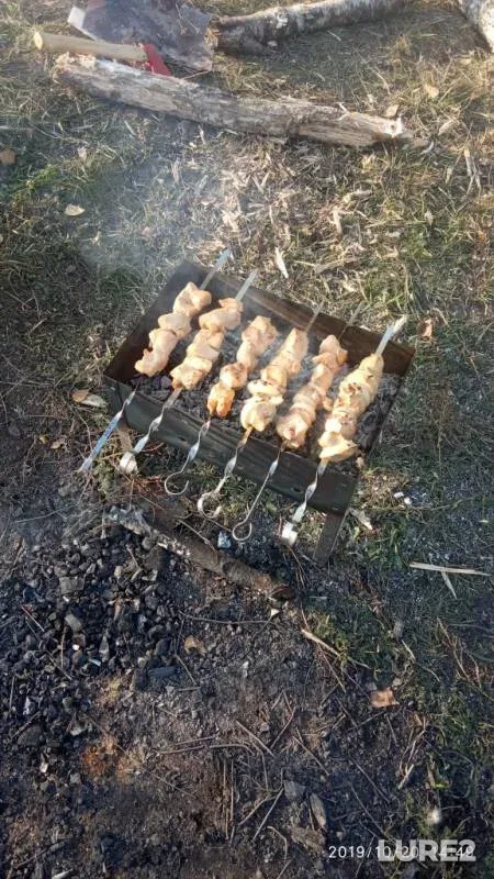 Лещ, Карась