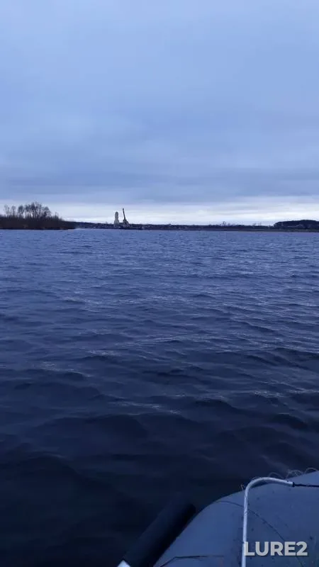 Щука