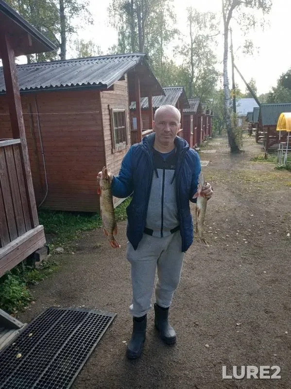 Щука