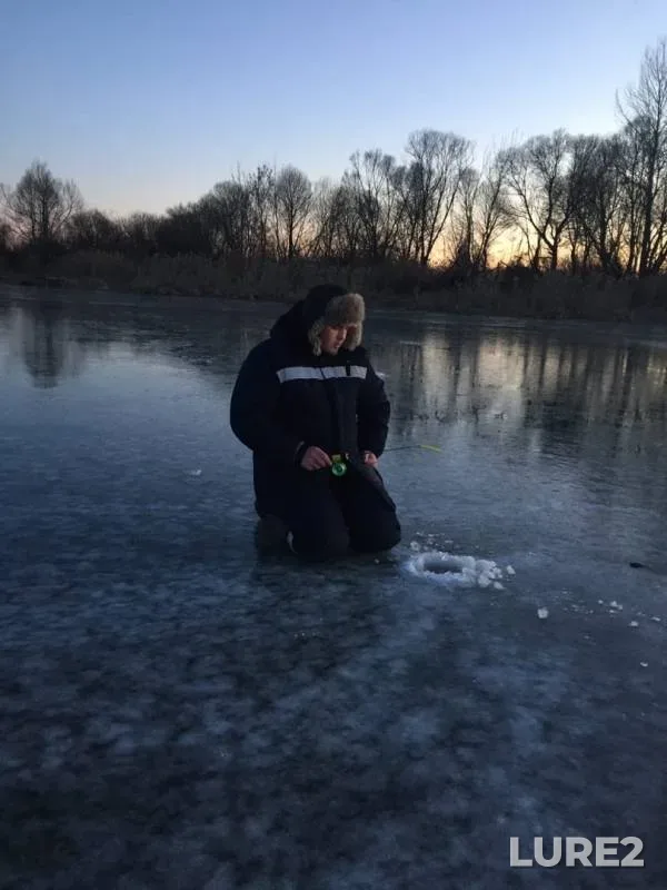 Окунь