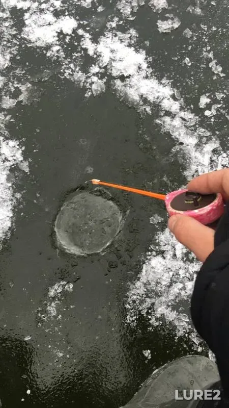 Окунь
