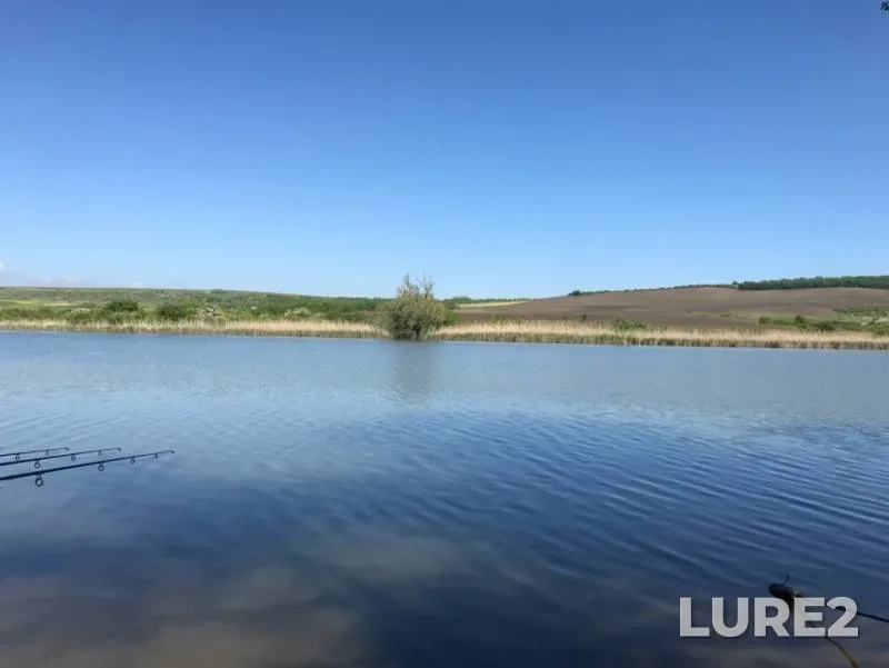 Карп
