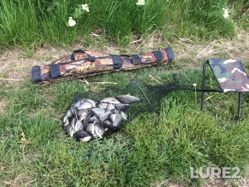 Карась
