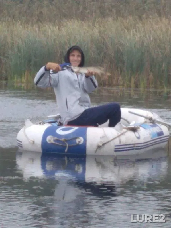 Щука