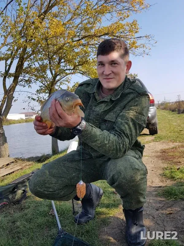 Карп
