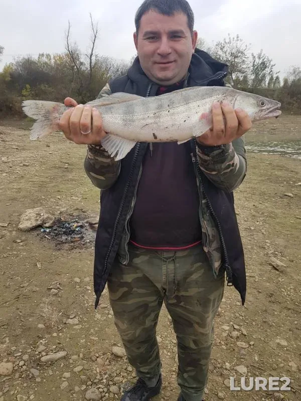 Судак