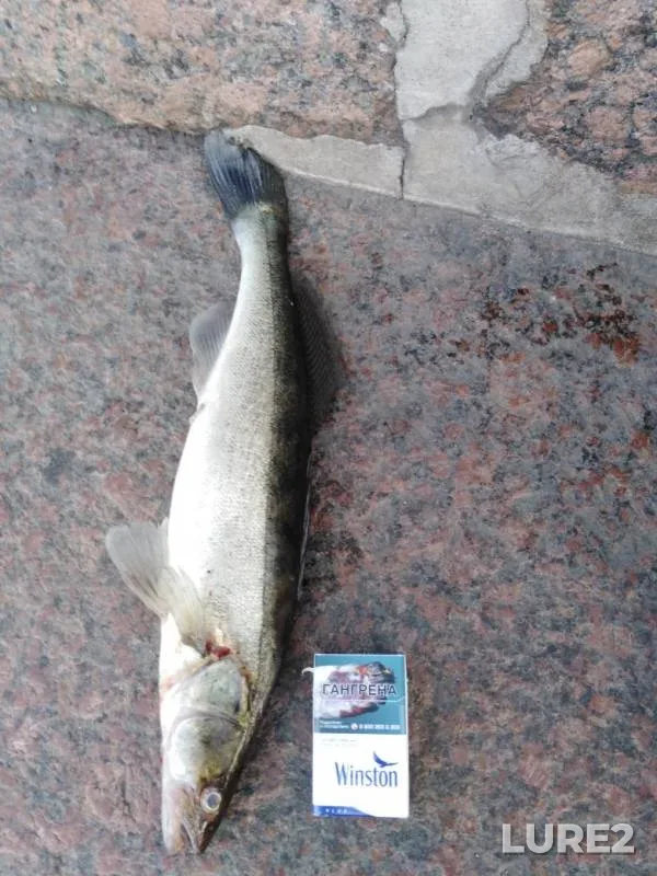 Судак