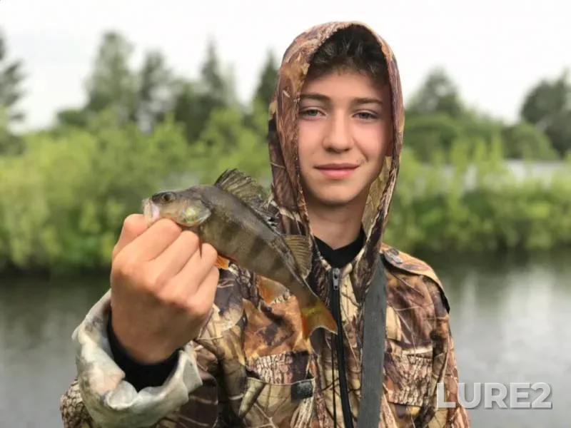 Окунь