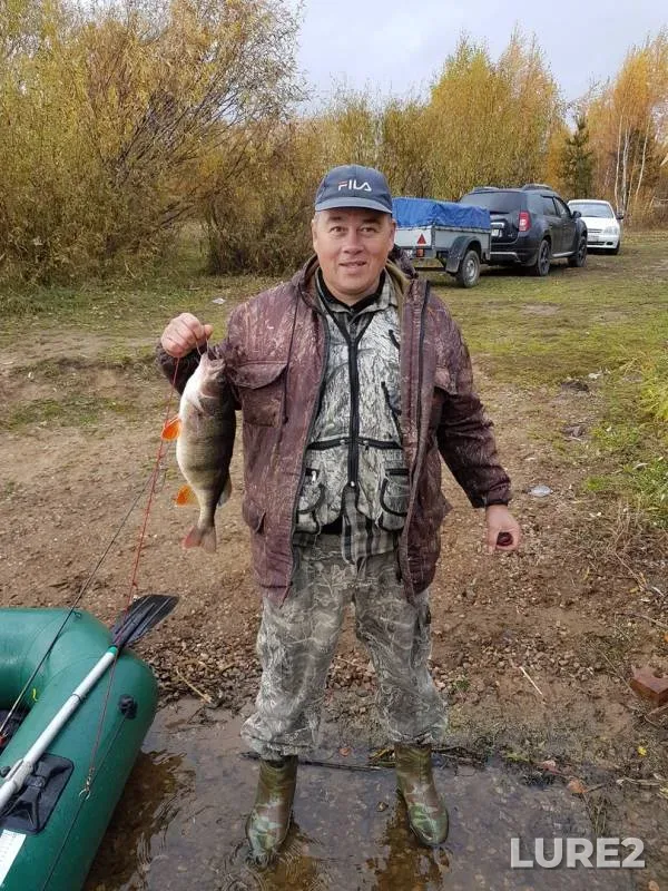 Окунь