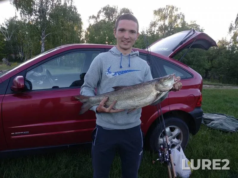 Жерех — Сож, 21 июн. 2018 г.