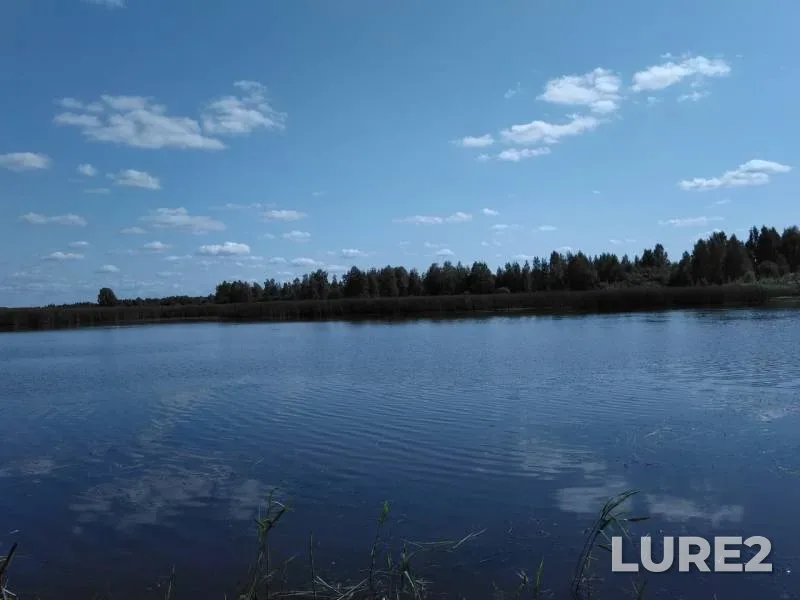 Карась