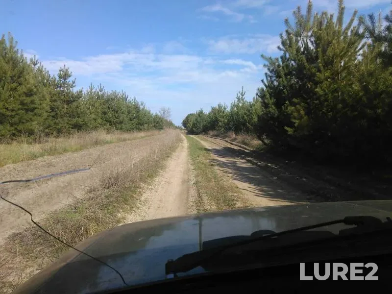 Голавль